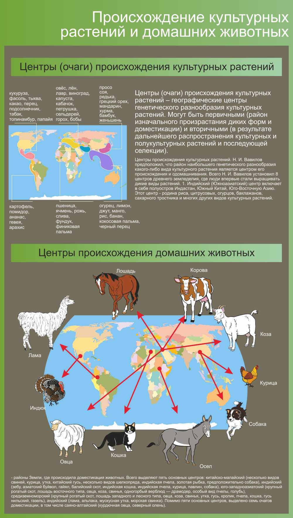 Происхождение культурных растений и домашних животных в Ульяновске